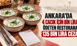 4 cacık için bin lira ödeten restorana 135 bin lira ceza
