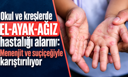Okul ve kreşlerde el-ayak-ağız hastalığı alarmı: Menenjit ve suçiçeğiyle karıştırılıyor