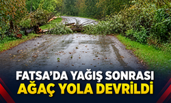 Fatsa’da yağış sonrası ağaç yola devrildi