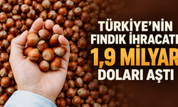 Türkiye’nin fındık ihracatı 1,9 milyar doları aştı