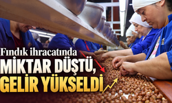 Fındık ihracatında miktar düştü, gelir yükseldi
