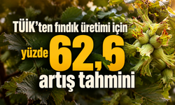 TÜİK’ten fındık üretimi için yüzde 62,6 artış tahmini