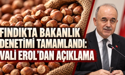 Fındıkta Bakanlık denetimi tamamlandı: Vali Erol’dan açıklama
