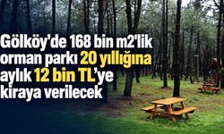 Gölköy'de 168 bin m2'lik orman parkı 20 yıllığına aylık 12 bin TL'ye kiraya verilecek