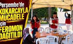Perşembe’de kokarcayla mücadele için feromon dağıtıldı