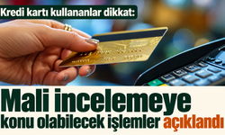 Kredi kartı kullananlar dikkat: Mali incelemeye konu olabilecek işlemler açıklandı