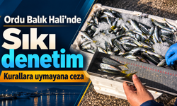 Ordu Balık Hali’nde sıkı denetim: Kurallara uymayana cez