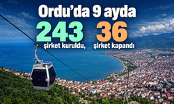 Ordu’da 9 ayda 243 şirket kuruldu, 36 şirket kapandı