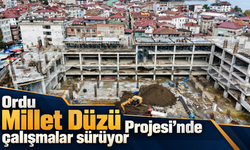 Ordu Millet Düzü Projesi’nde çalışmalar sürüyor