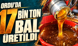 Ordu'da 17 bin ton bal üretildi