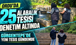 Ordu’da 25 alabalık tesisi denetim altında: Gürgentepe’de yeni tesis gündemde