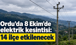 Ordu’da 8 Ekim’de elektrik kesintisi: 14 ilçe etkilenecek