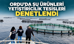 Ordu'da su ürünleri yetiştiricilik tesisleri denetlendi