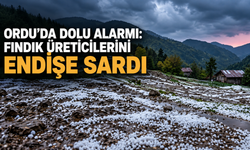 Ordu’da dolu alarmı: Fındık üreticilerini endişe sardı