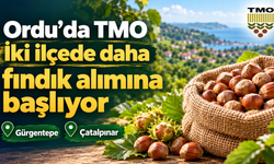 Ordu’da TMO iki ilçede daha fındık alımına başlıyor