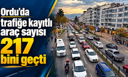 Ordu’da trafiğe kayıtlı araç sayısı 217 bini geçti