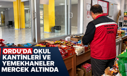 Ordu’da okul kantinleri ve yemekhaneler mercek altında