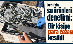 Ordu’da su ürünleri denetimi: Bir kişiye para cezası kesildi