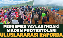 Perşembe Yaylası’ndaki Maden Protestoları Uluslararası Raporda