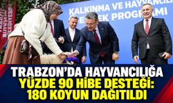 Trabzon’da hayvancılığa yüzde 90 hibe desteği: 180 koyun dağıtıldı.