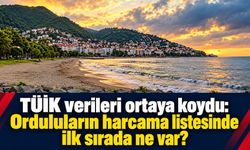 TÜİK verileri ortaya koydu: Orduluların harcama listesinde ilk sırada ne var?