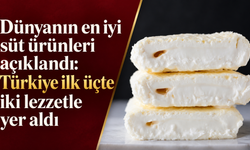 Dünyanın en iyi süt ürünleri açıklandı: Türkiye ilk üçte iki lezzetle yer aldı