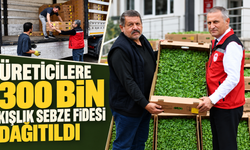 Üreticilere 300 bin kışlık sebze fidesi dağıtıldı