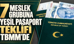 7 meslek grubuna yeşil pasaport teklifi TBMM’de