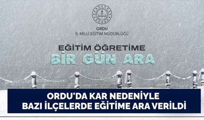 Ordu'da kar nedeniyle bazı ilçelerde eğitime ara verildi
