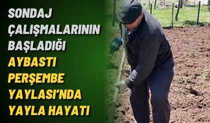 Sondaj çalışmalarının başladığı Aybastı Perşembe Yaylası’nda yayla hayatı