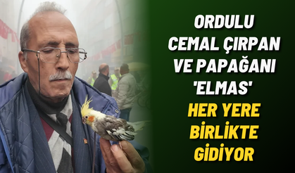 Ordulu Cemal Çırpan ve papağanı 'Elmas' her yere birlikte gidiyor