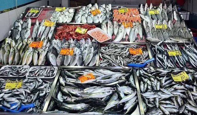 Balık tüketiminde yeni tehdit: Karadeniz'de durum kritik!
