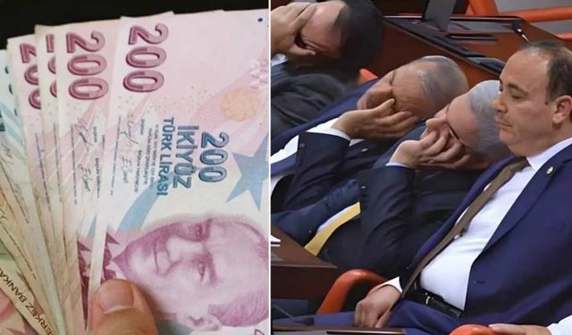 Araştırma ortaya koydu: Yurttaşların yüzde 95'i milletvekillerine çift maaşa karşı