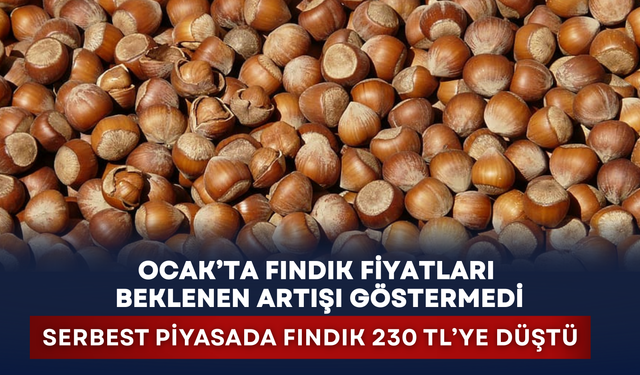 Ocak’ta fındık fiyatları beklenen artışı göstermedi