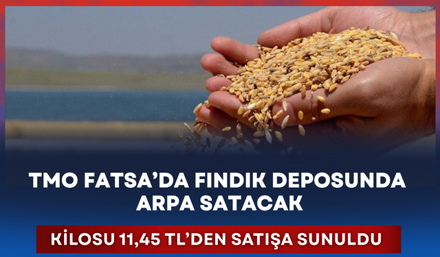 TMO Fatsa'da fındık deposunda arpa satacak