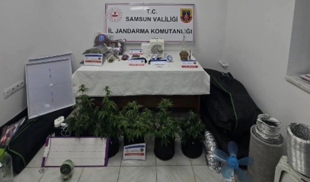 Elbise dolabında özel iklimlendirme sistemiyle uyuşturucu serası