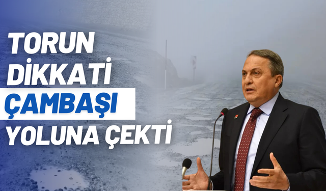 Milletvekili Torun dikkati Çambaşı yoluna çekti