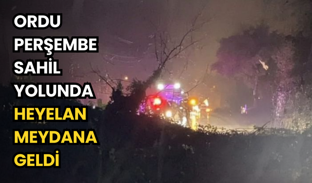 Ordu Perşembe sahil yolunda heyelan meydana geldi