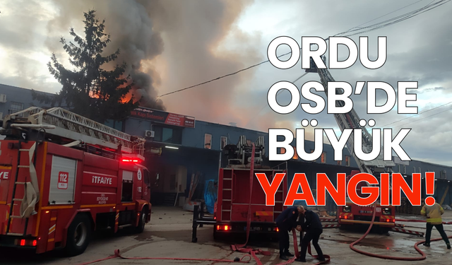 Ordu OSB’de büyük yangın!