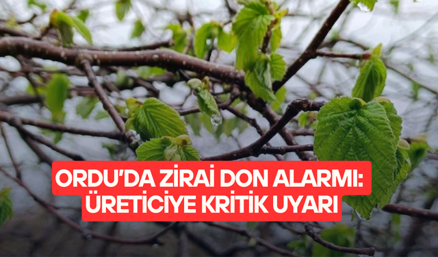 Ordu’da zirai don alarmı: üreticiye kritik uyarı