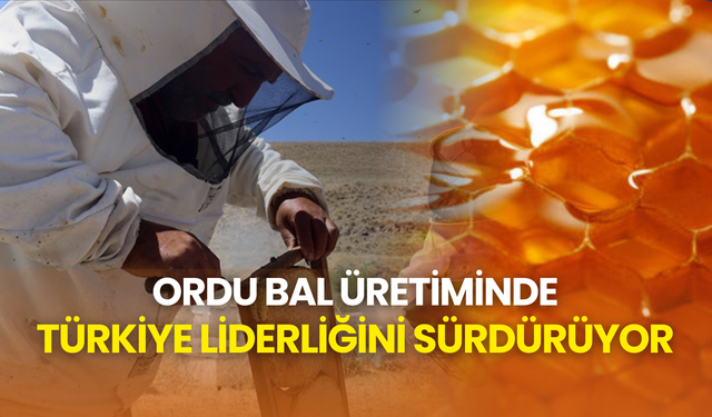 Ordu bal üretiminde Türkiye liderliğini sürdürüyor