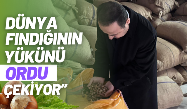 Milletvekili Şanlıtürk: "Dünya fındığının yükünü Ordu çekiyor."