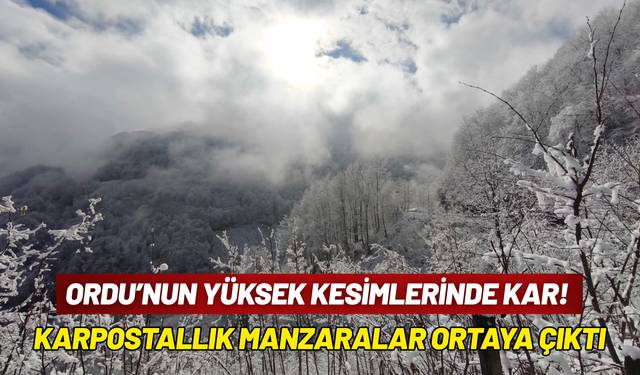 Ordu'nun yüksek kesimlerinde kar manzarası