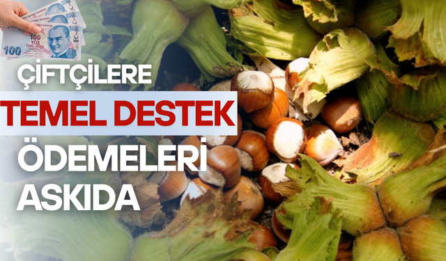 Ordu'da çiftçiler için temel destek listeleri askıda!