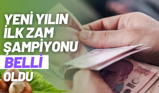 Yeni yılın ilk zam şampiyonu belli oldu