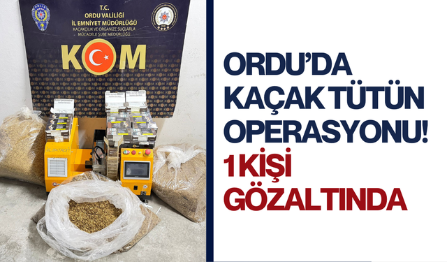 Ordu’da kaçak tütün operasyonu! 1 kişi gözaltında