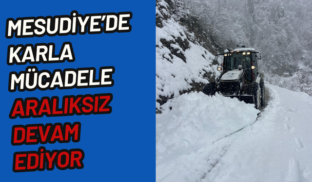Mesudiye’de karla mücadele aralıksız devam ediyor