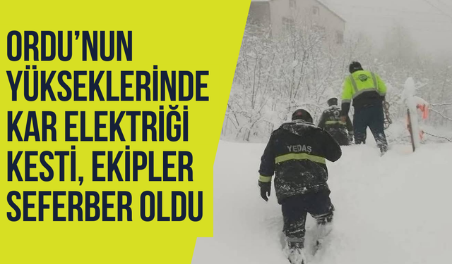 Ordu’nun yükseklerinde kar elektriği kesti, ekipler seferber oldu