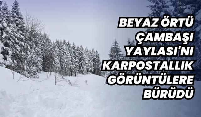 Beyaz örtü Çambaşı Yaylası'nı karpostallık görüntülere bürüdü