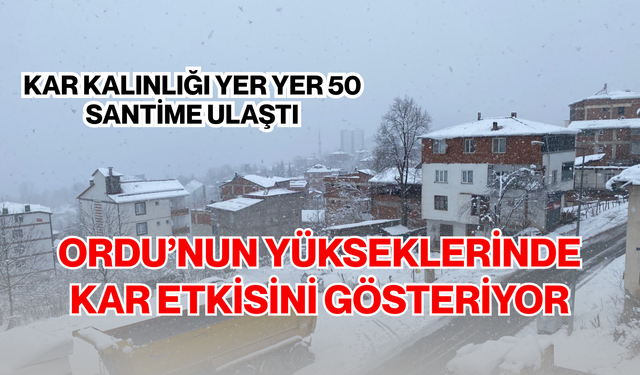 Ordu'nun yüksek kesimlerinde kar yağışı etkisini gösteriyor